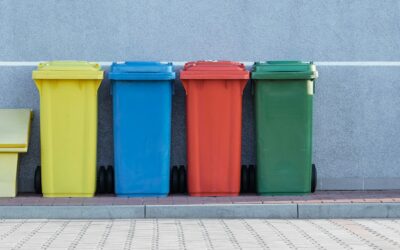 Waste and recycling rules: what you need to know